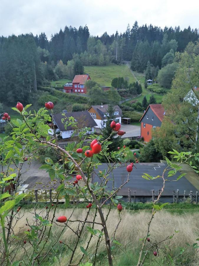 Zur Schmiede 3*