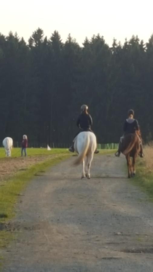 Zur Schmiede 3* Altenau (Lower-Saxony)