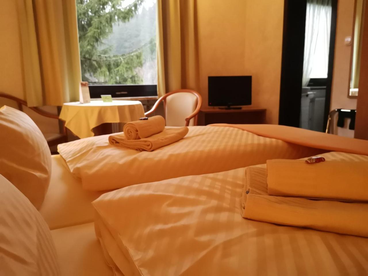 Zur Schmiede 3* Altenau (Lower-Saxony)